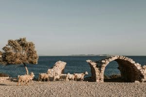 IMG_2650 Stunning coastal view, ideal for sailing courses with expert Captain Josh Rundle at Josh Rundle Sailing Education.